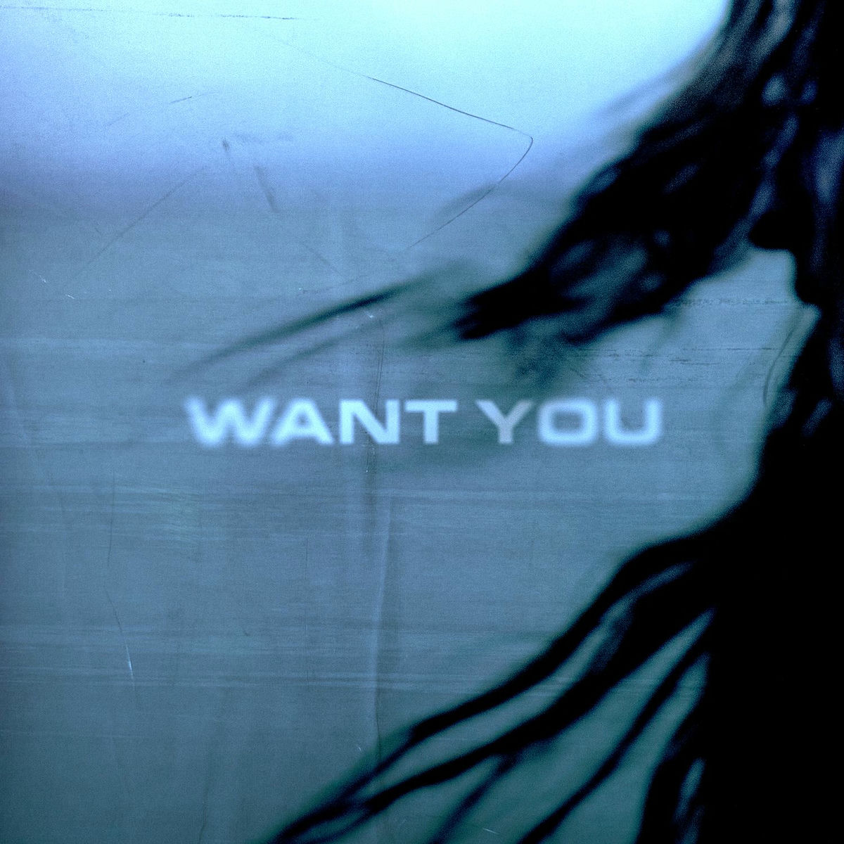 Album cover of Want You