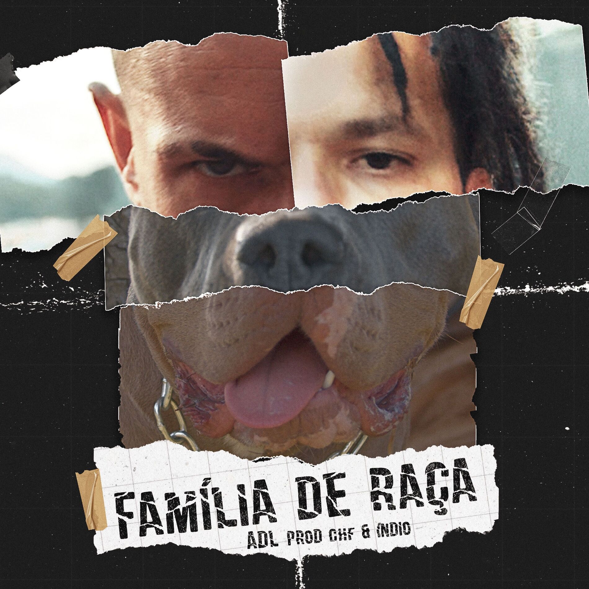 Album cover of Família de Raça