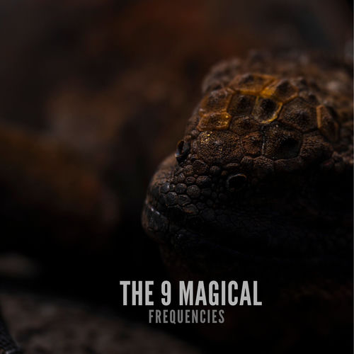 The 9 Magical Frequencies