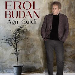 Cover of Ağır Geldi