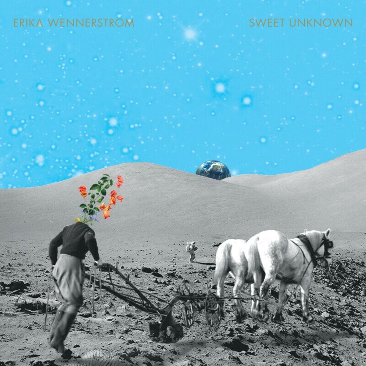 Album cover of Sweet Unknown