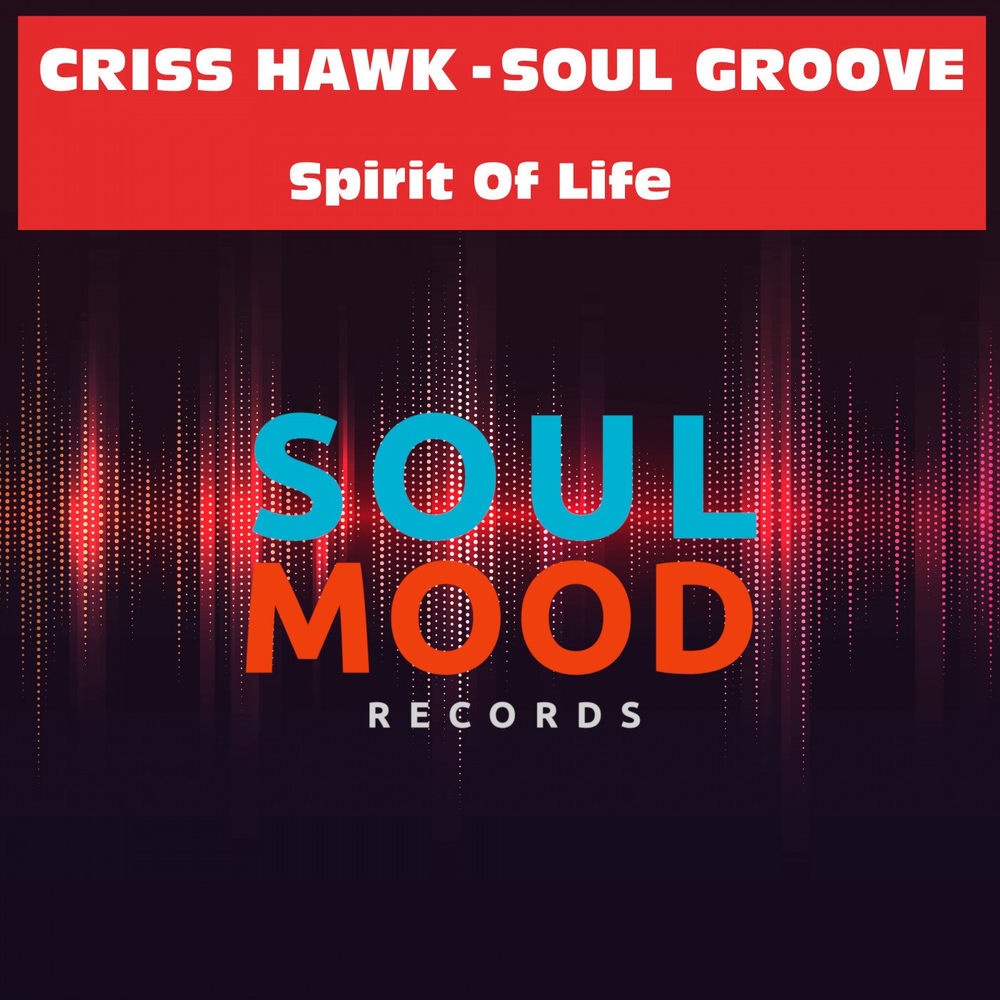 Album artwork for Spirit of Life (Original Mix) by Soul Groove
