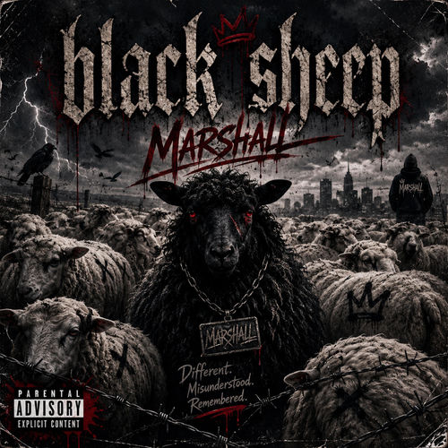 Black Sheep