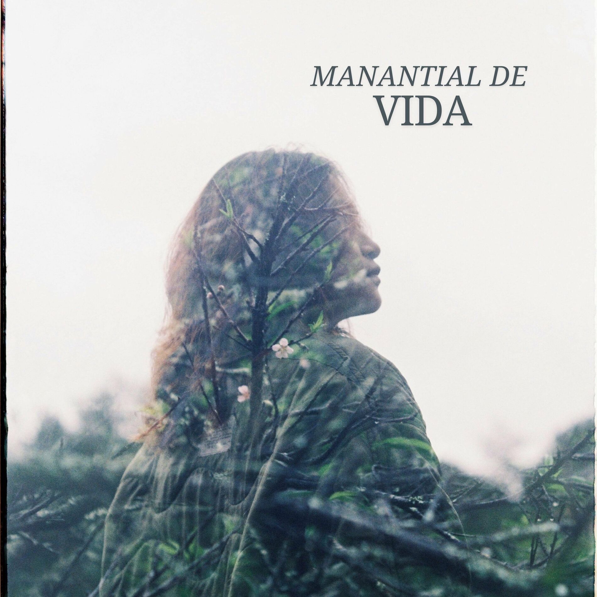 Album cover of Manantial De Vida