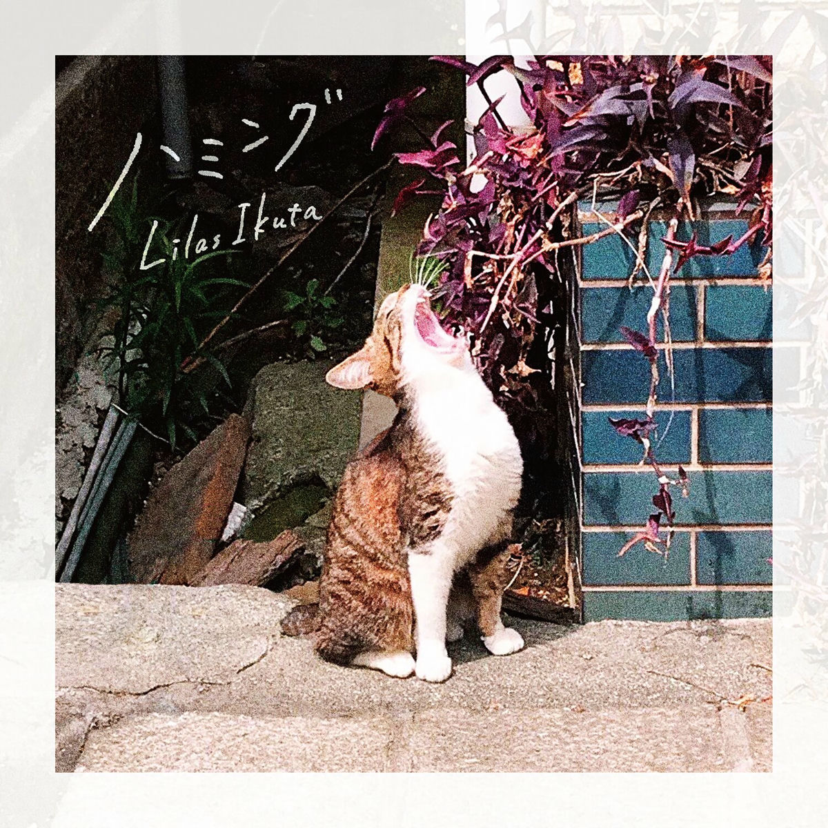 新品LP LIA PAMINA　リア・パミナ LOVE IS ENOUGH Amazon.co.jp: LOVE IS ENOUGH: Music