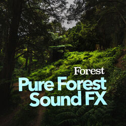 Cover of Pure Forest Sound FX