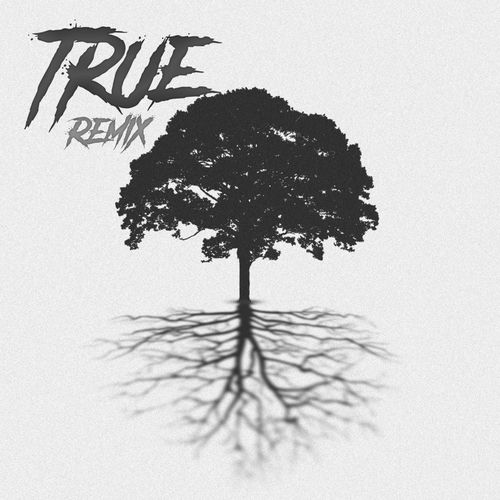 Descargar True (Remix) - Rusherking MP3