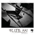 Flute XXI Project