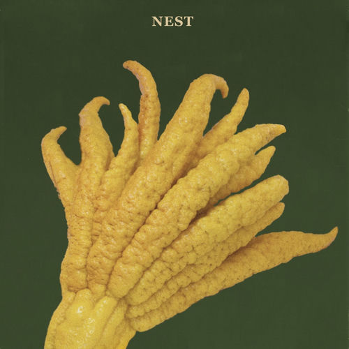 Nest sleeve