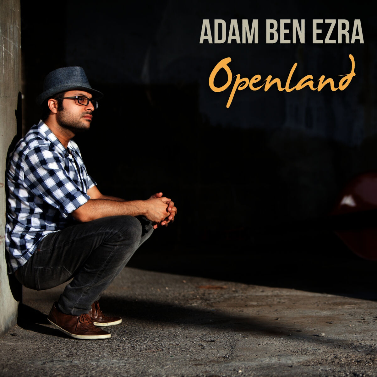 Album cover of Openland