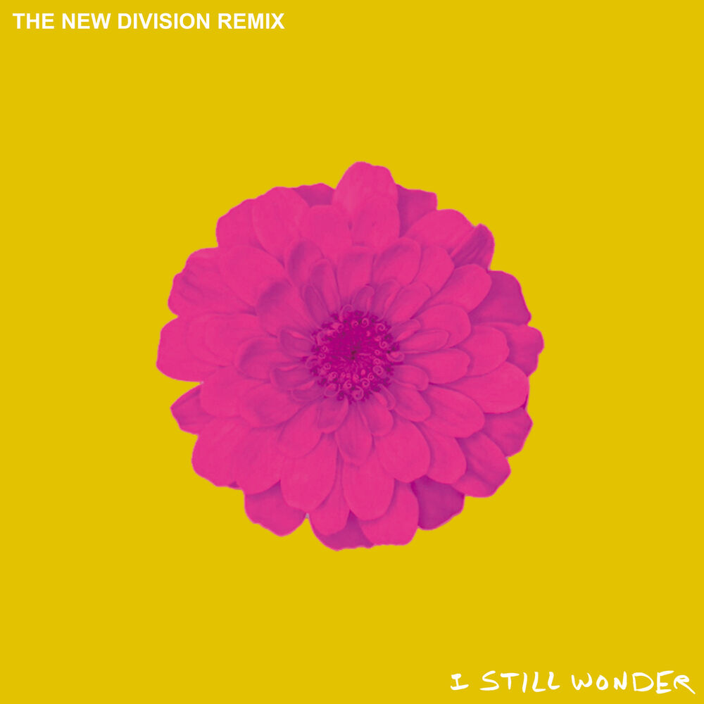 Picture of I Still Wonder (The New Division Remix)