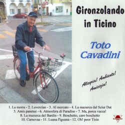 Cover of Gironzolando in Ticino