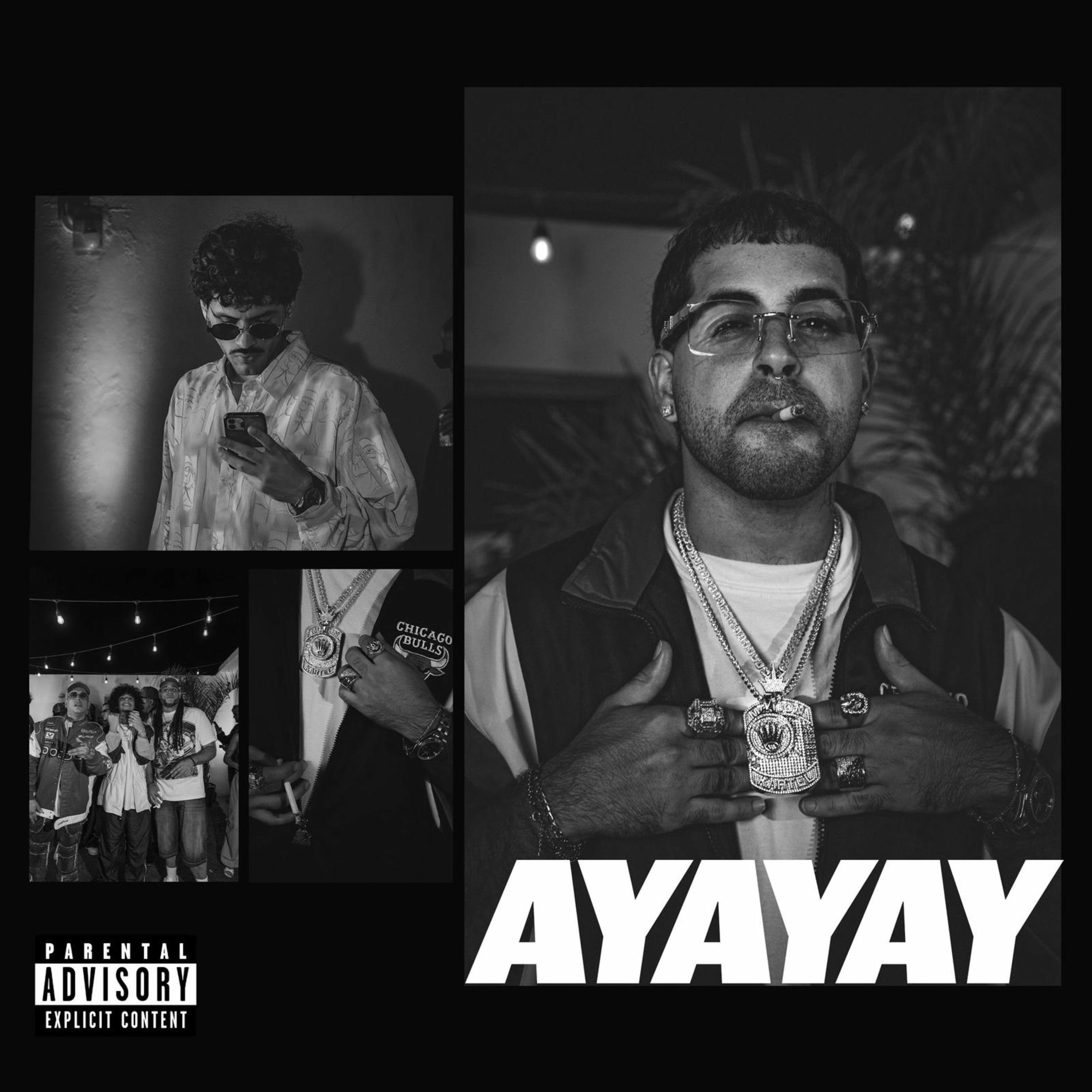 Album cover of AYAYAY