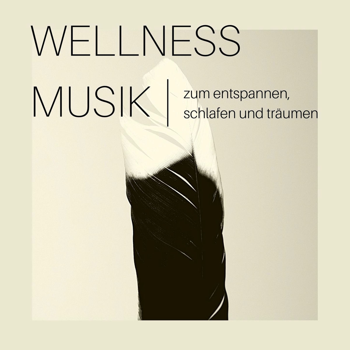 Album cover of Wellness Musik zum Entspannen, Schlafen und Träumen