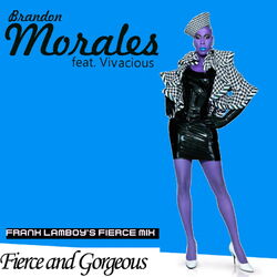 Cover of Fierce and Gorgeous