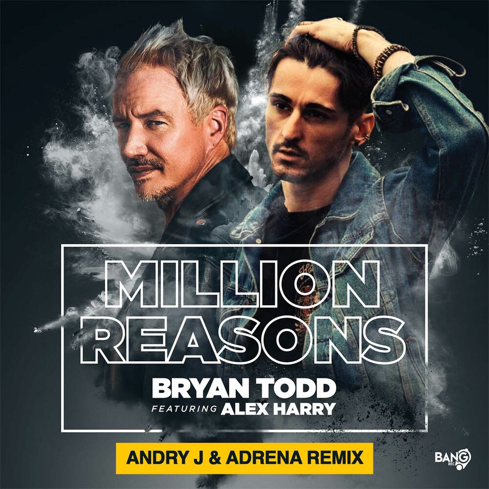 Picture of Million Reasons [Andry J & Adrena REMIX]
