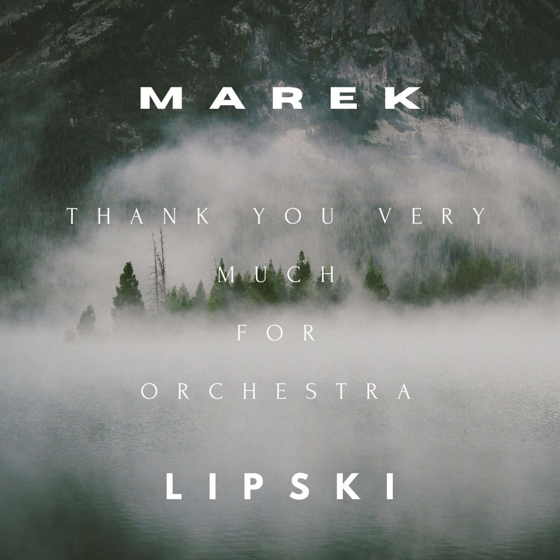 Album cover of Thank you very much (Symphonie-Orchestra)