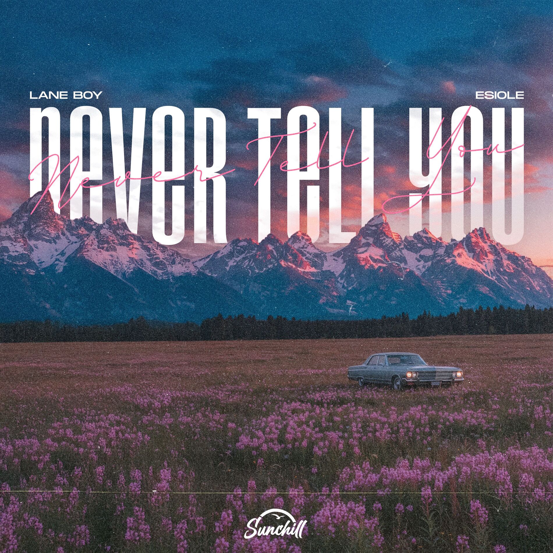 Album cover of Never Tell You