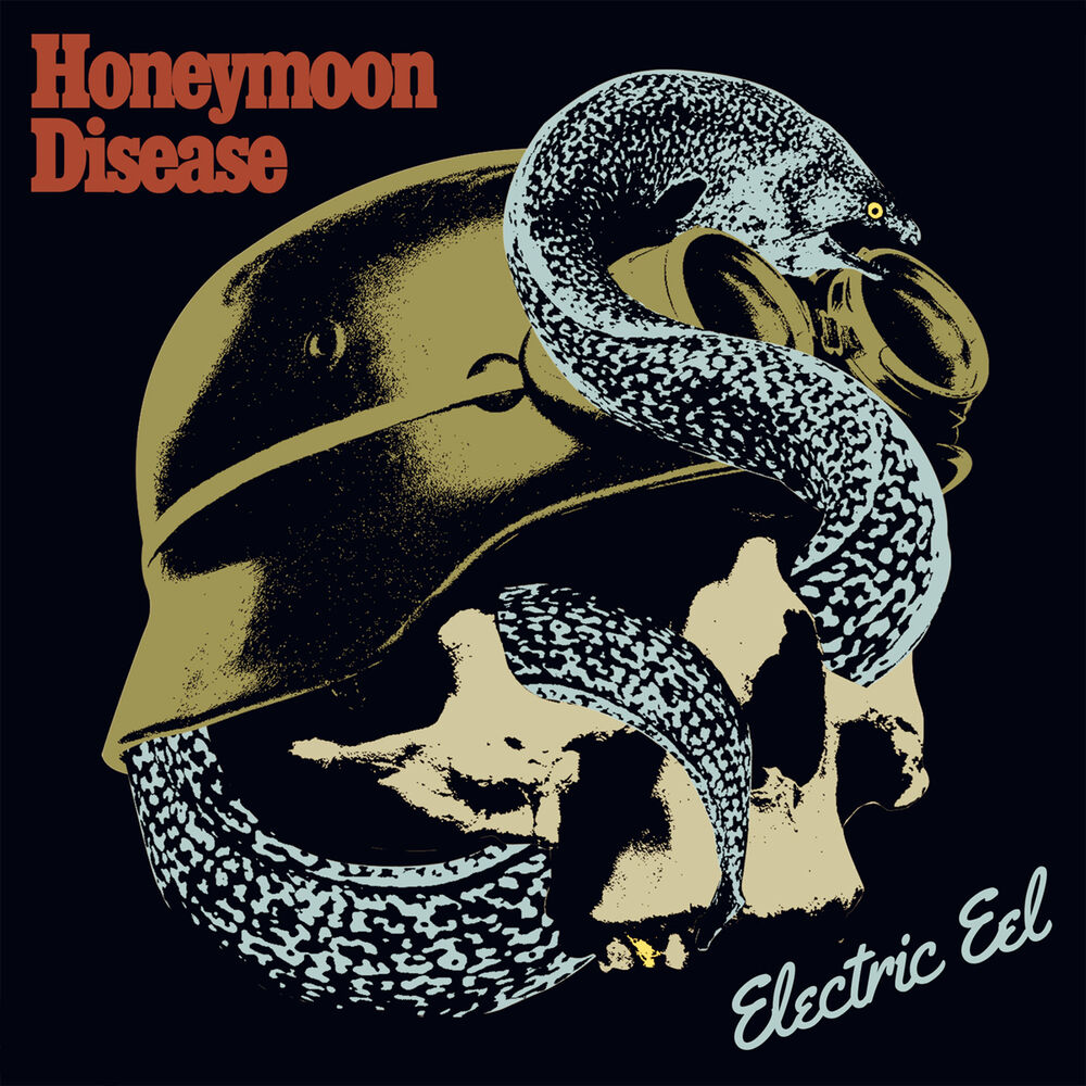 Picture of Electric Eel