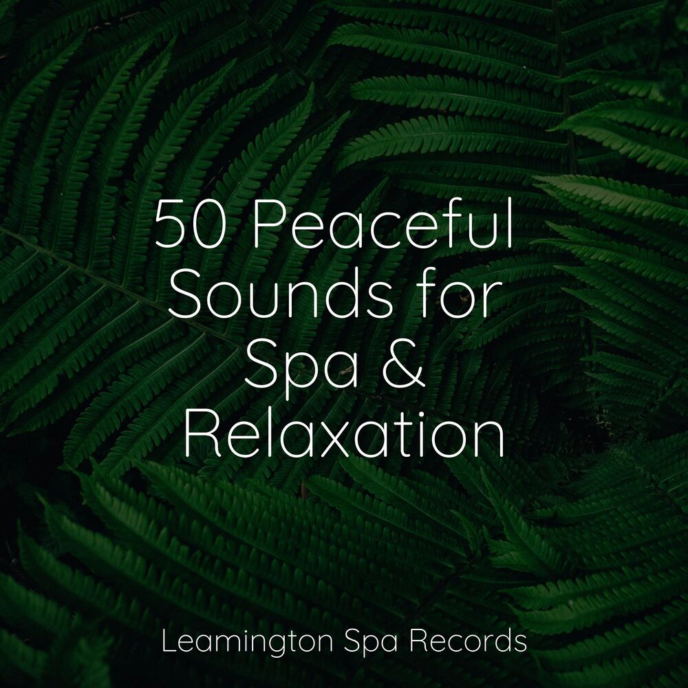 Picture of 50 Peaceful Sounds for Spa & Relaxation