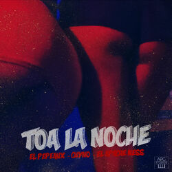 Cover of Toa la noche