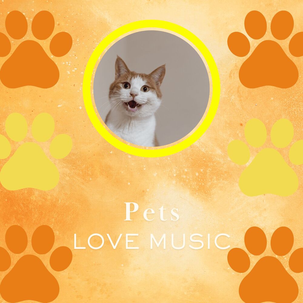 Picture of Happy Paws Nocturne