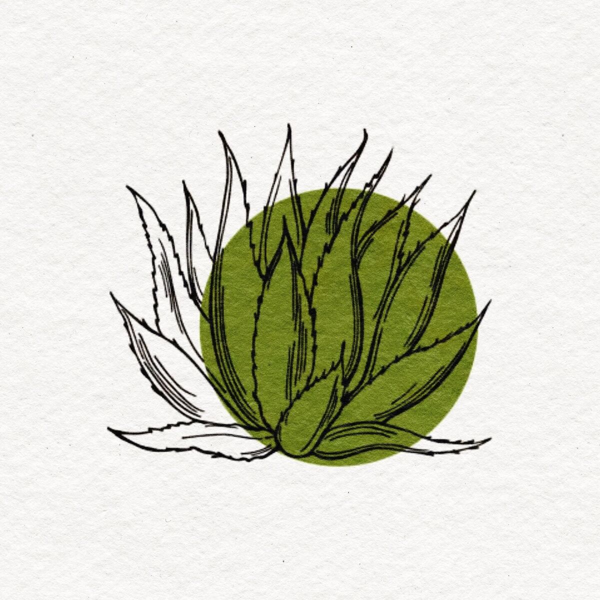Album cover of Agave