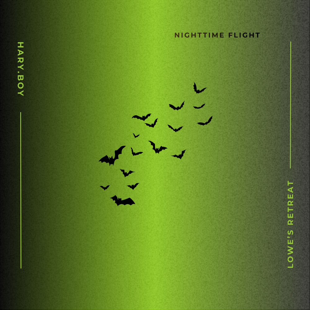 Nighttime Flight