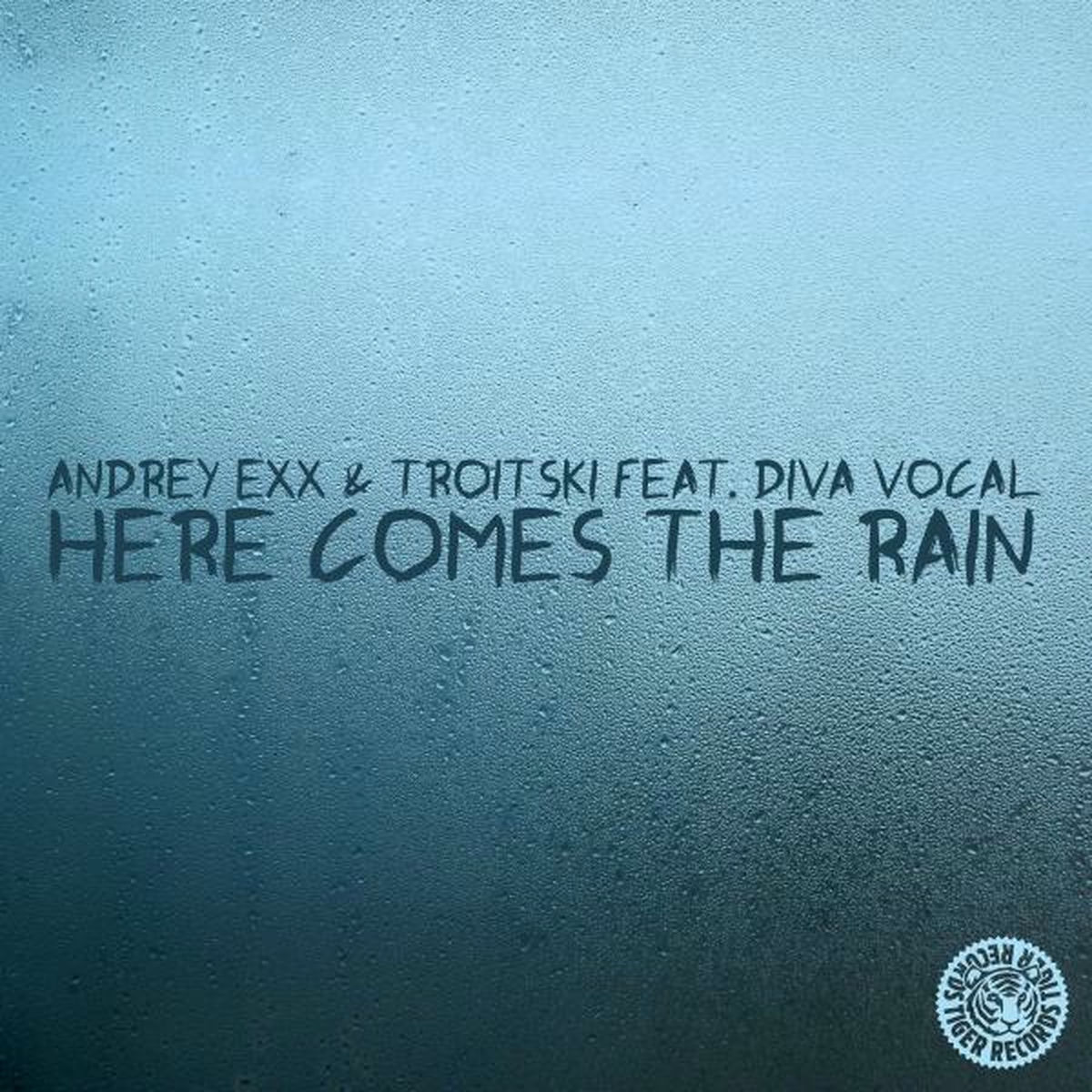 Album cover of Here Comes the Rain : Here Comes the Rain