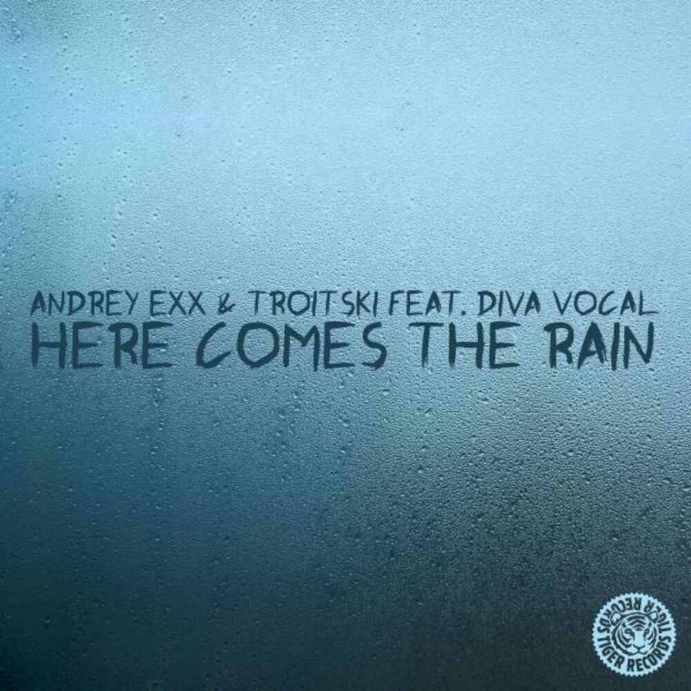 Picture of Here Comes the Rain