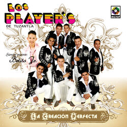 Cover of La Creación Perfecta