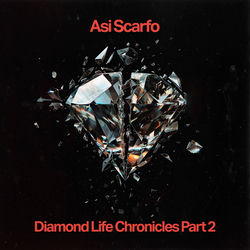 Cover of Diamond Life Chronicles 2 by undefined