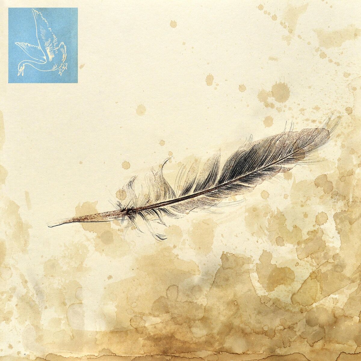 Album cover of V