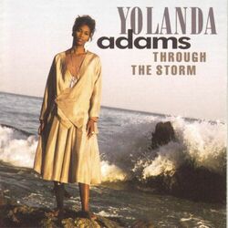 Cover of Through The Storm