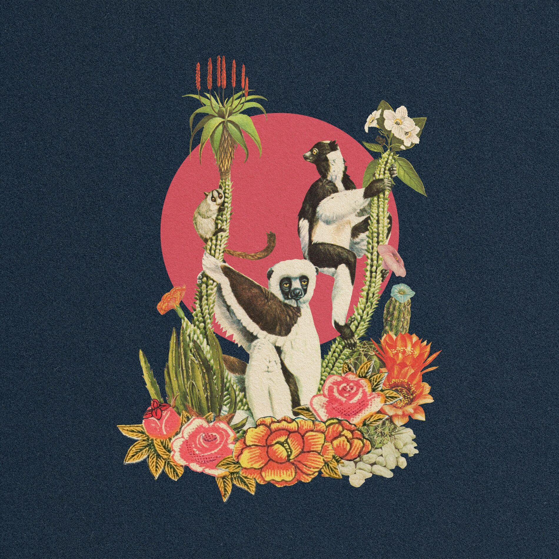 Album cover of Ring Tail