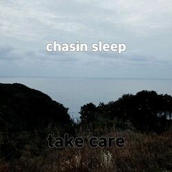 Cover of chasin sleep