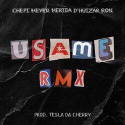 Cover of Usame Rmx