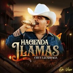 Cover of Haciendo Llamadas (En Vivo)
