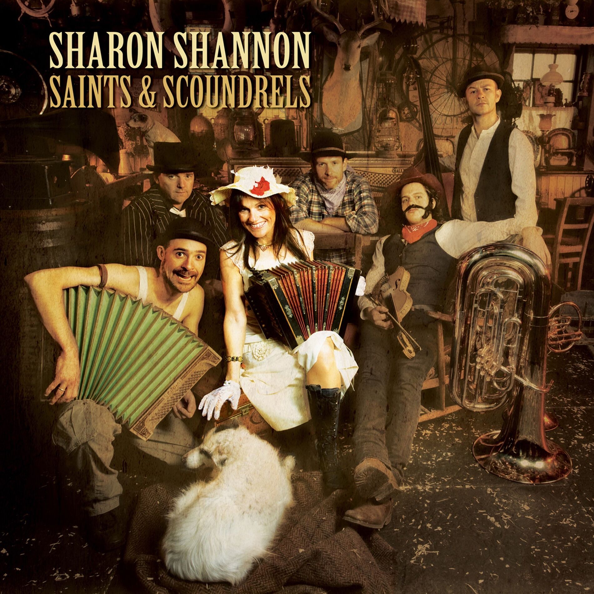 Album cover of Shifting Summer Sands