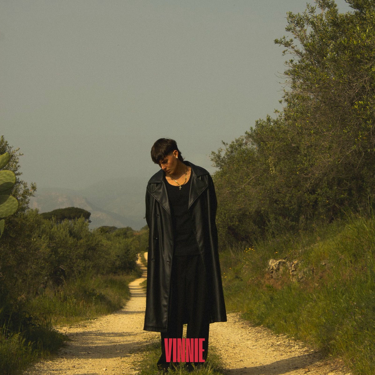 Album cover of Aria