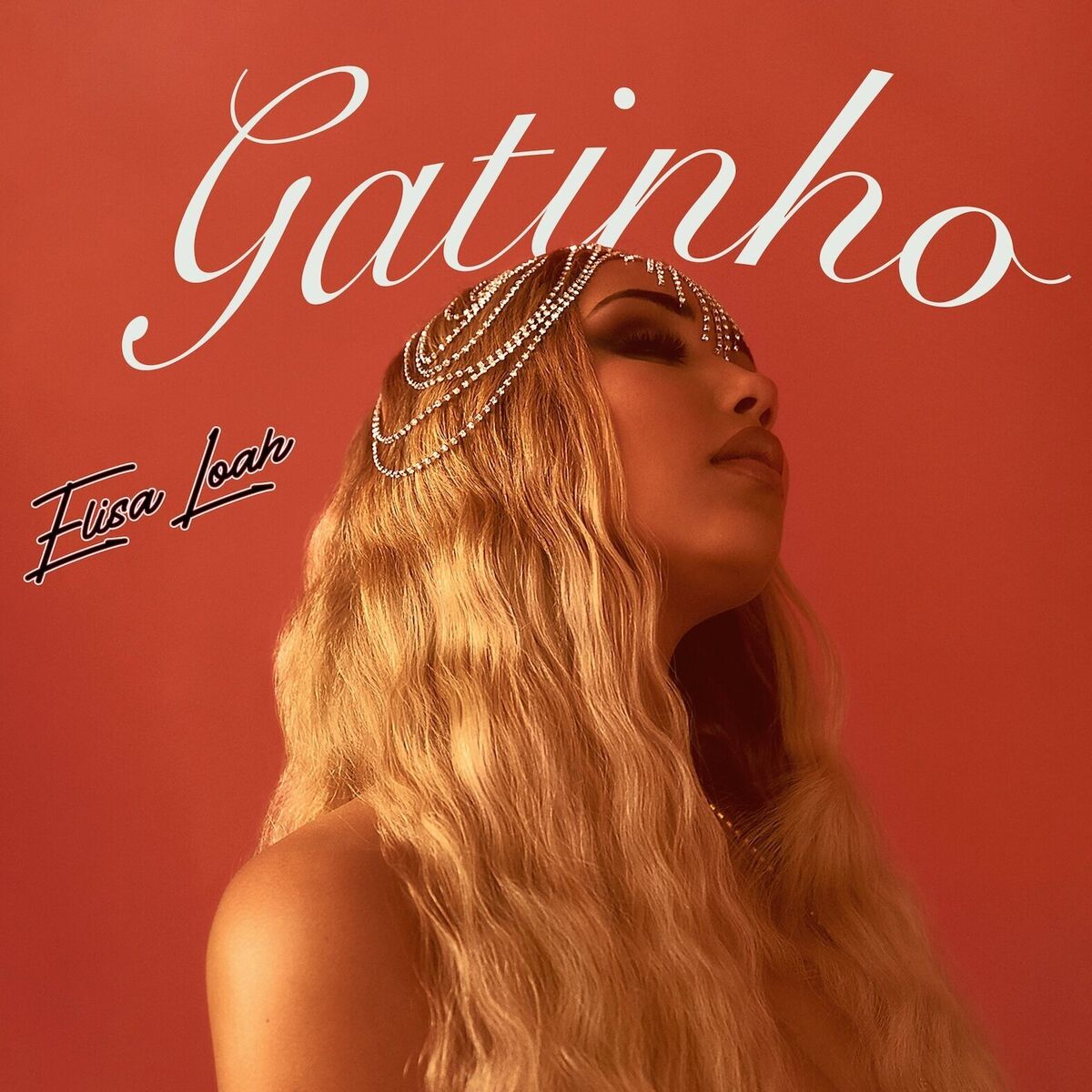 Album cover of Gatinho