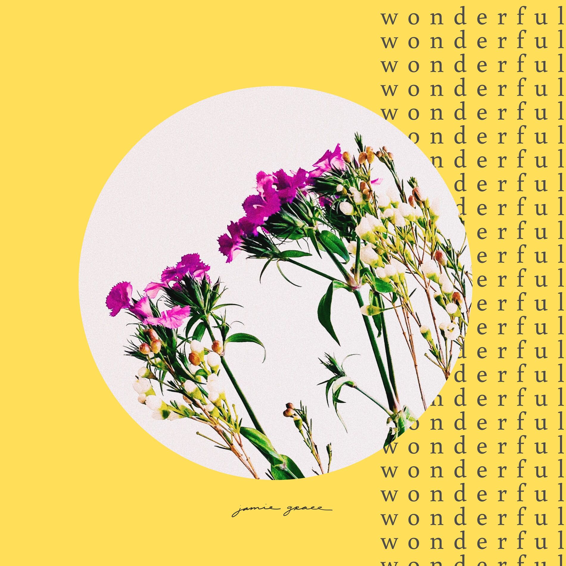 Album cover of Wonderful (Extended)