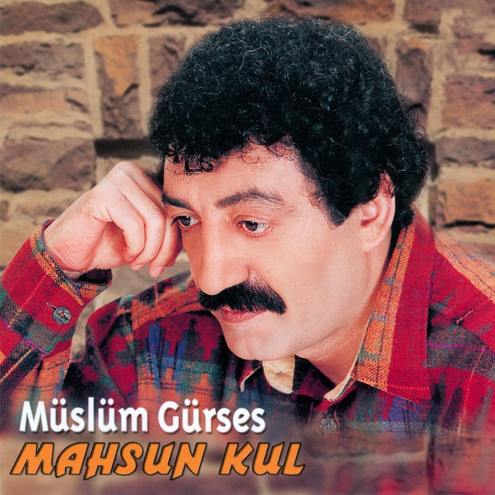 Picture of Mahsun Kul