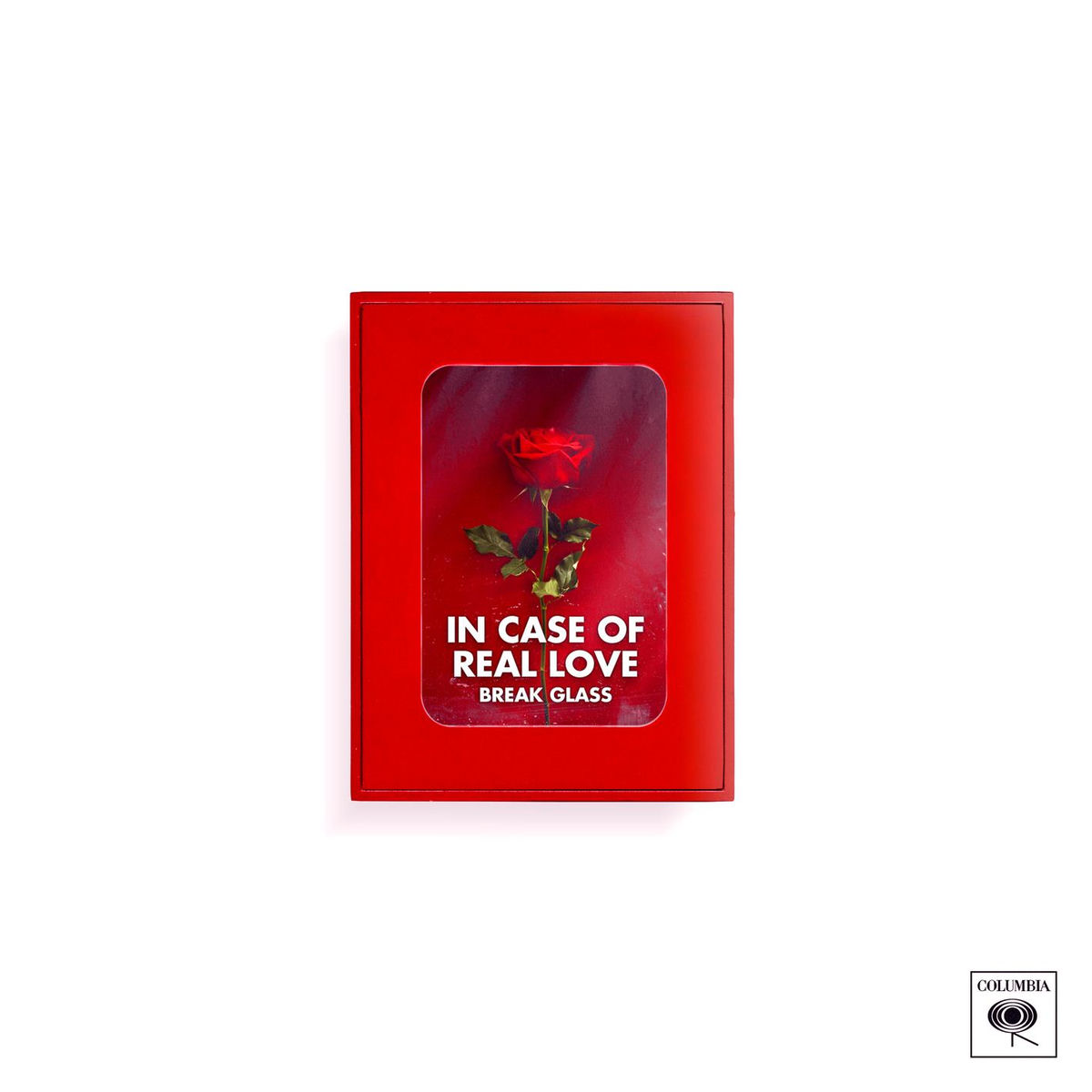 Album cover of Real Love (feat. Stevie Appleton)
