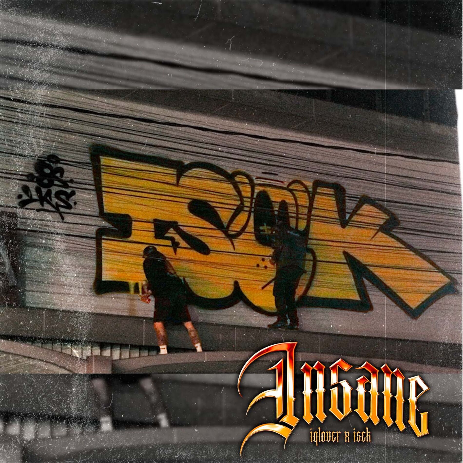 Album cover of Insane