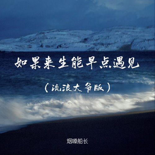 如果来生能早点遇见（流浪大爷版）