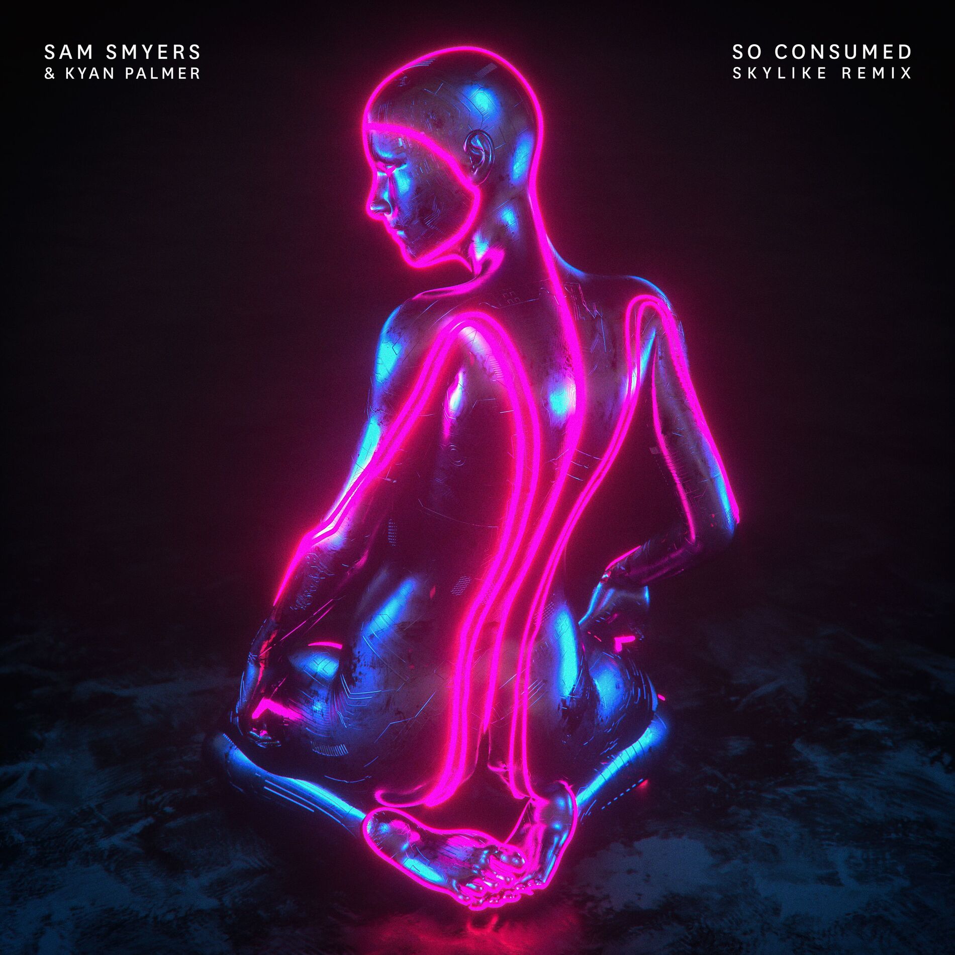 Album cover of So Consumed (Skylike Remix)