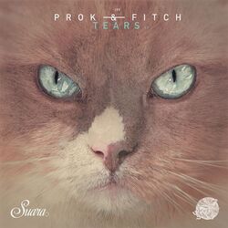 music cover