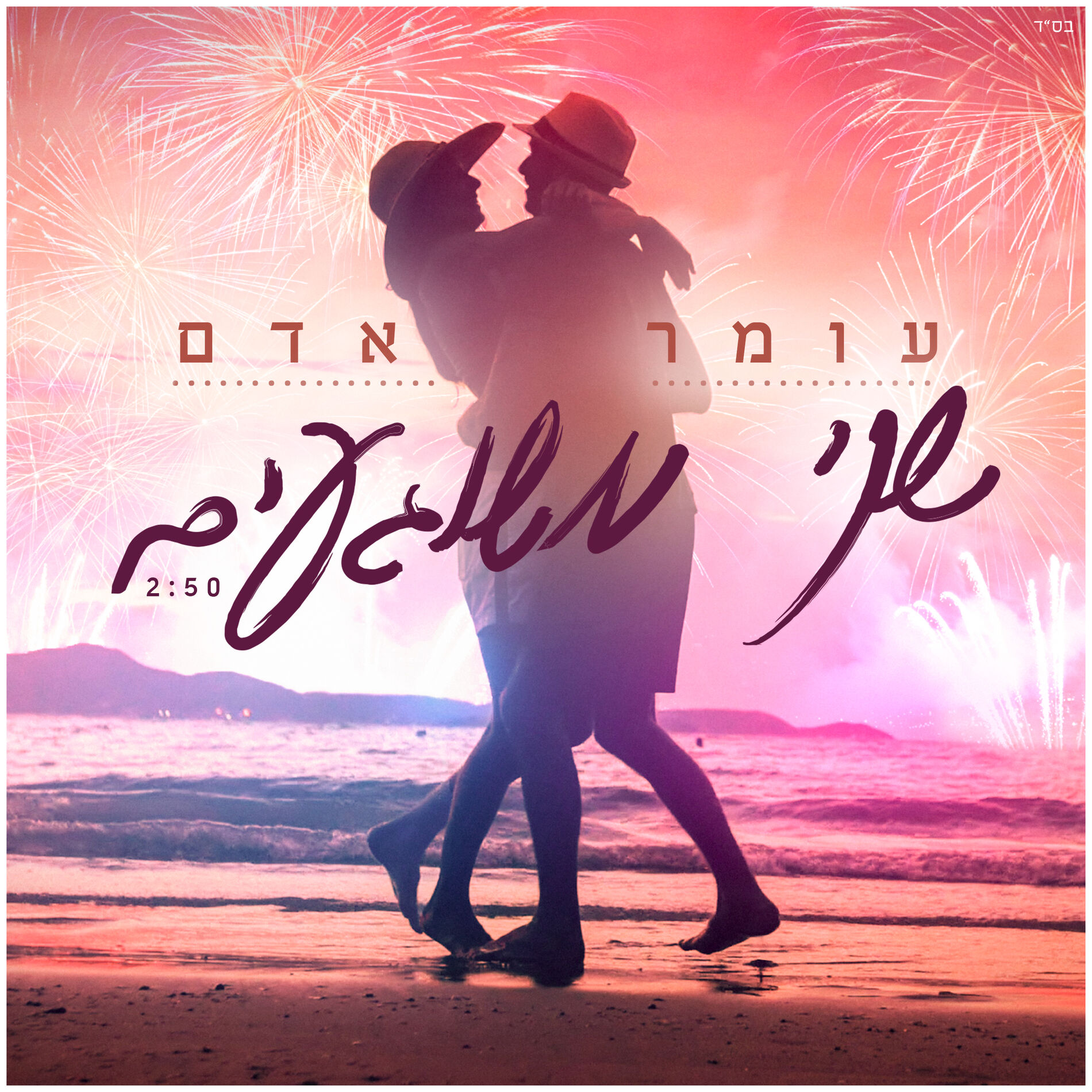 Album cover of שני משוגעים