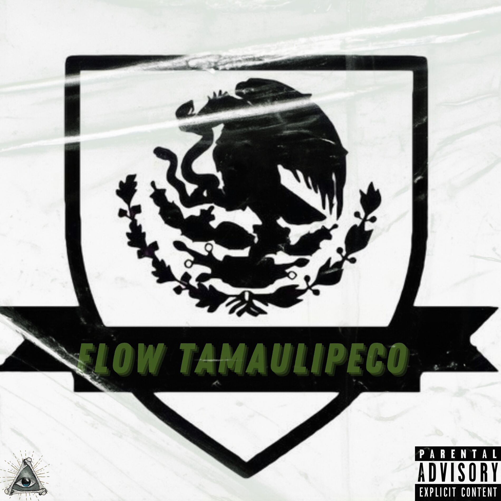 Album cover of FLOW TAMAULIPECO